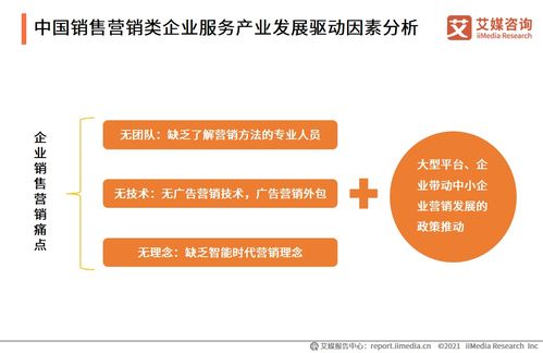 2021上半年中國(guó)企業(yè)服務(wù)專(zhuān)題研究報(bào)告 信息咨詢(xún)服務(wù)的發(fā)展與變革